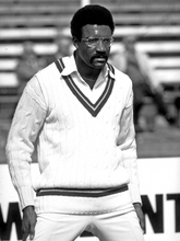 Load image into Gallery viewer, The "Clive Lloyd" Sleeveless Cricket Jumper