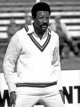 Load image into Gallery viewer, The &quot;Clive Lloyd&quot; Sleeveless Cricket Jumper