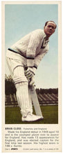 Load image into Gallery viewer, The "Brian Close" Cricket Jumper
