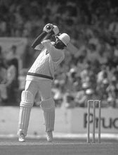 Load image into Gallery viewer, The "Clive Lloyd" Sleeveless Cricket Jumper